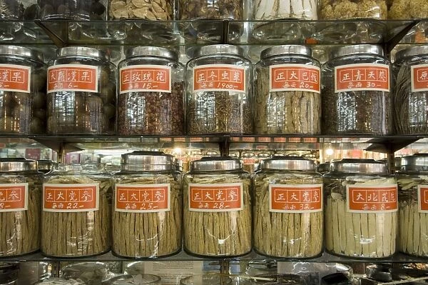 Traditional chinese medicine, Mong Kok district, Kowloon, Hong Kong, China, Asia