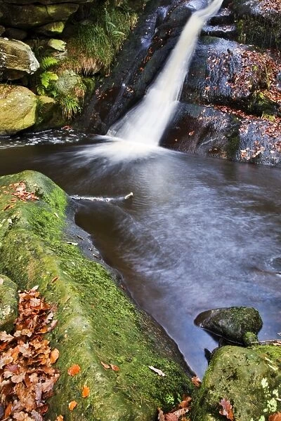 Upper Waterfall at Posforth Gill, Bolton Abbey, Yorkshire, England, United Kingdom