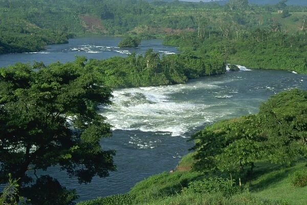 Victoria Nile River through rainforest, Jinja Falls, near Kampala, Uganda