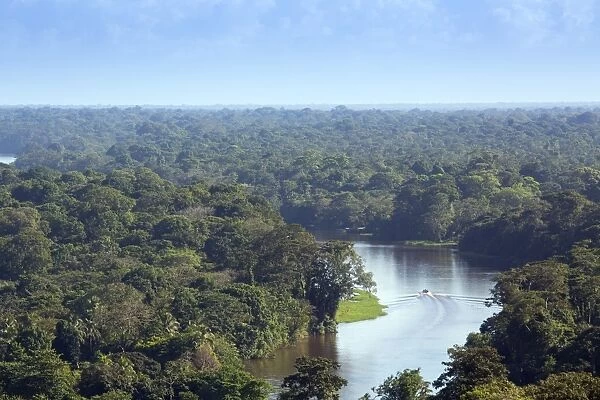 View of rainforest and rivers in Tortuguero National Park, Limon, Costa Rica, Central