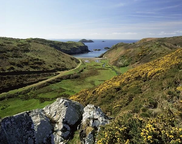 View to sea and beach from coast path near Lower Solva