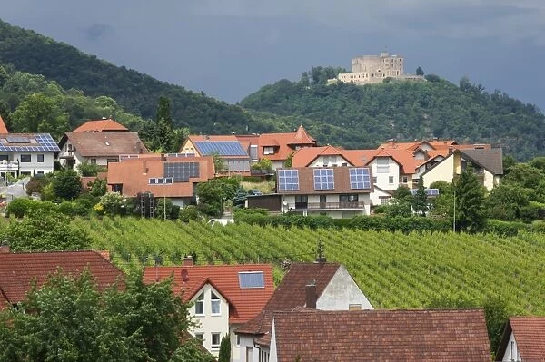 Village of St. Martin amongst vineyards in the Pfalz area, Germany, Europe