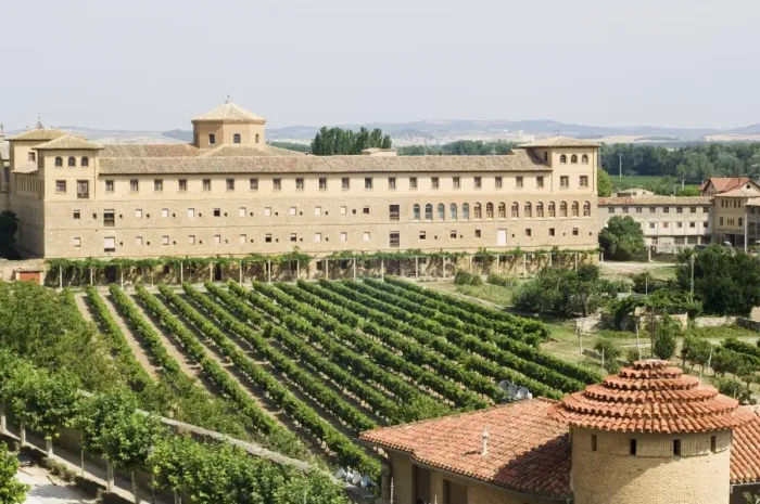 Framed Print : Vineyard and Monastery Print, Olite, Navarra, Spain
