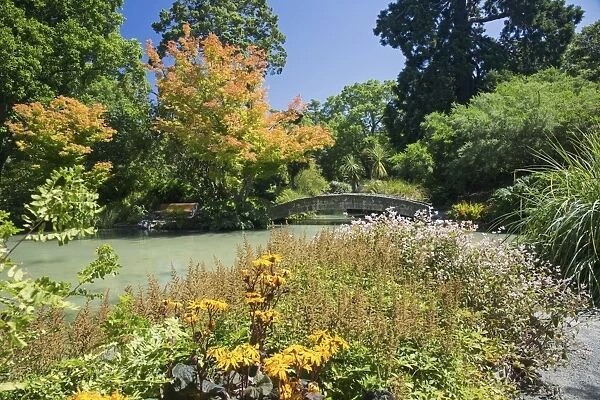 The Water Garden, Christchurch Botanic Gardens, Christchurch, Canterbury, South Island