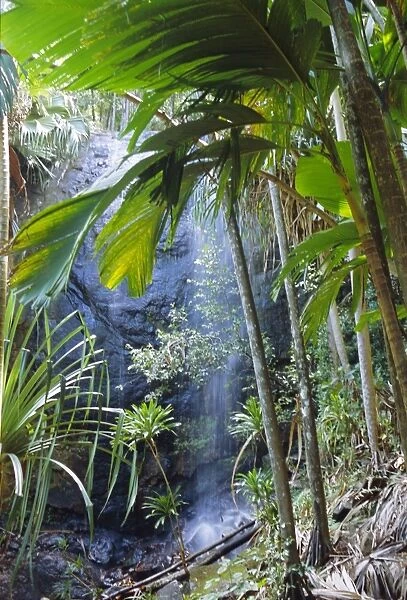 Waterfall, Vallee de Mai National Park
