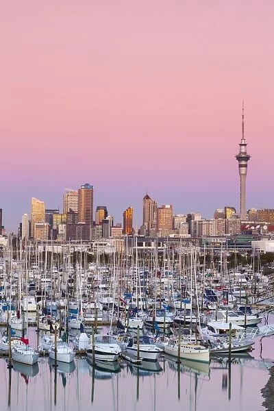 Westhaven Marina & city skyline illuminated at dusk, Waitemata Harbour, Auckland, North Island, New Zealand, Australasia