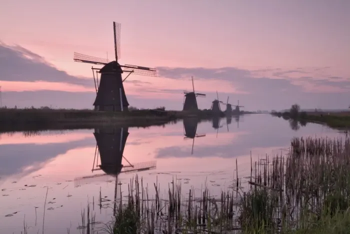 Framed Print : Windmills at Kinderdijk Print, Holland