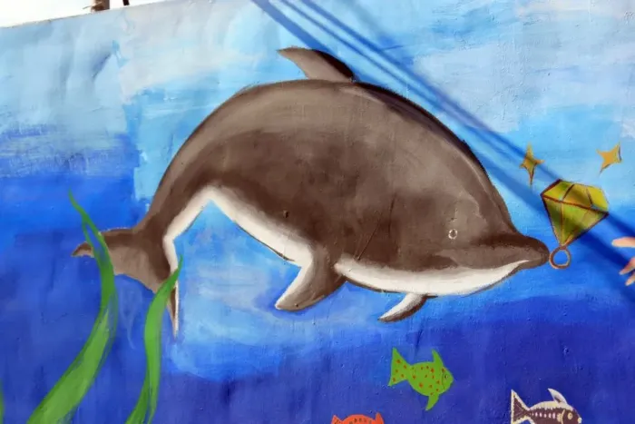Framed Print : Dolphin and Fish Print Framed Print : Dolphin and Fish Print