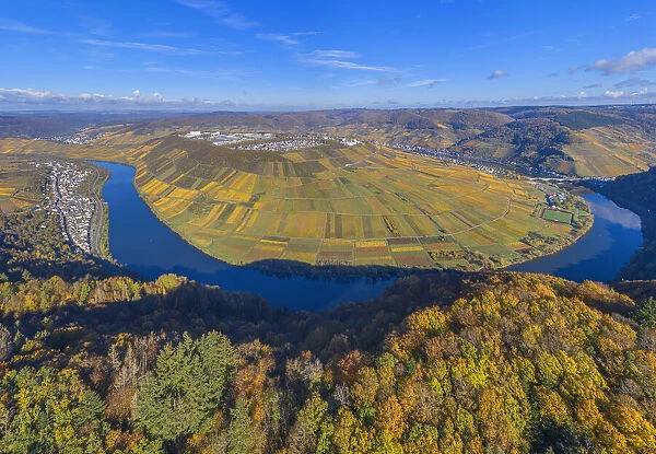 Aerial view at the Mosel horseshoe bend near Zell, Mosel valley, Rhineland-Palatinate