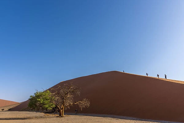 Africa, Namibia, Sossusvlei. Dune 45