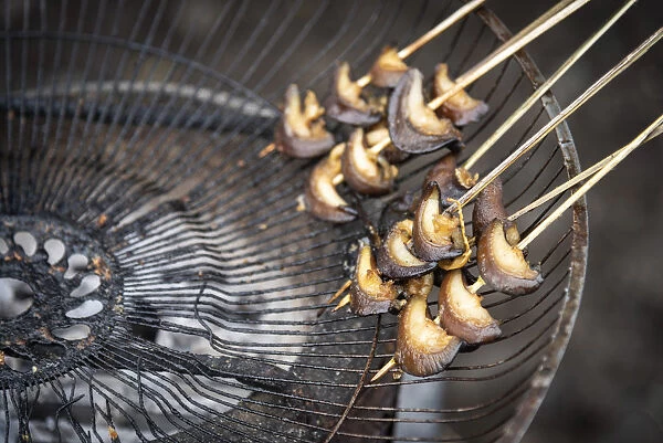 Africa, SA£o Toma and Principe. Grilled snails on a skewer in a little shop on the road