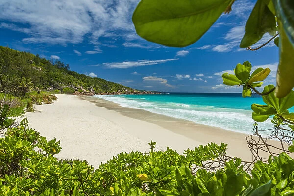 Africa, Seychelles, La Digue. The beautiful beach of Petite Anse