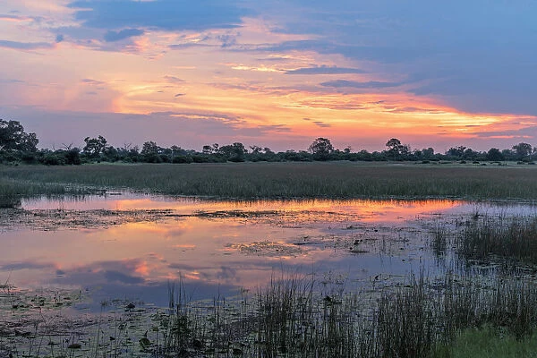 Africa, Southern Africa, African, Botswana, Savuti, Okavango Delta, sunset near