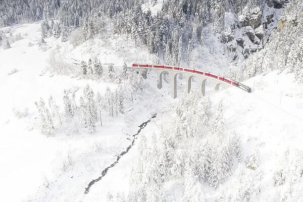 Bernina Express train on Landwasser viaduct framed by snow capped woods, Filisur