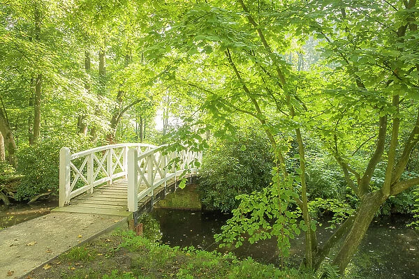Bridge in the park of Evenburg Castle near Leer, East Frisia, Lower Saxony, Germany