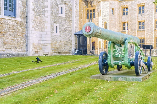 The bronze 24 Pounder Cannon and a raven at the Tower of London