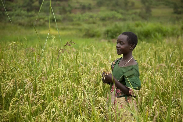 Burundi. A girl stands in a sorghum field in rural Burundi