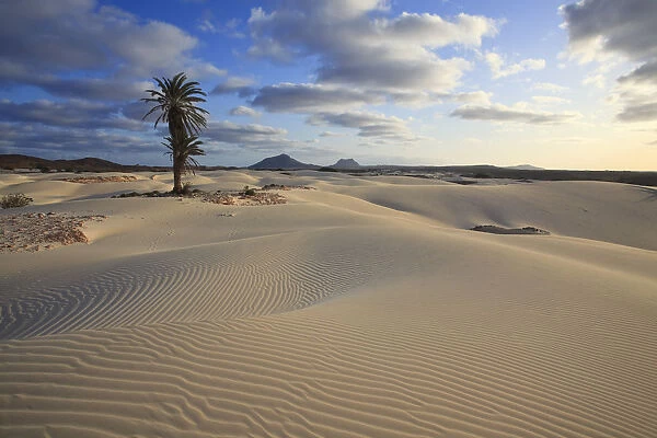 Cape Verde, Boavista, Rabil, Viana Desert