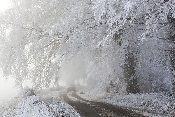 Car in country lane with frost covered trees, nr Wotton, Gloucestershire, UK