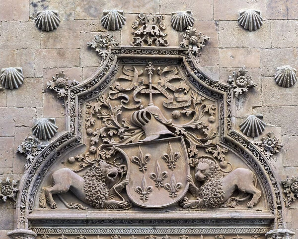 Casa de las Conchas, Salamanca, Castile and Leon, Spain
