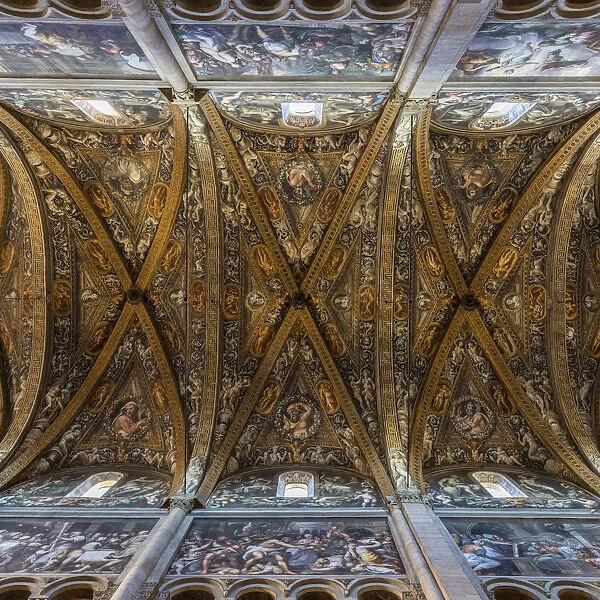 Cattedrale di Parma, Parma, Emilia-Romagna, Italy