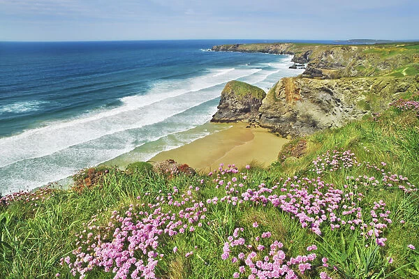 Cliff landscape with thrifts at Bedruthan Steps - United Kingdom, England, Cornwall