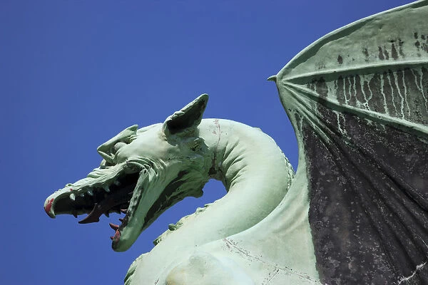 Close up of Bronze Dragon, Ljubljana, Slovenia