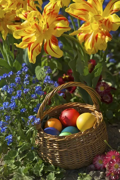 Framed Print : Colourful Easter Eggs Print Framed Print : Colourful Easter Eggs Print