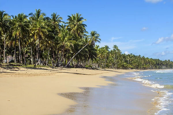 Dominican Republic, Samana Peninsula, Las Terrenas, Playa Copson