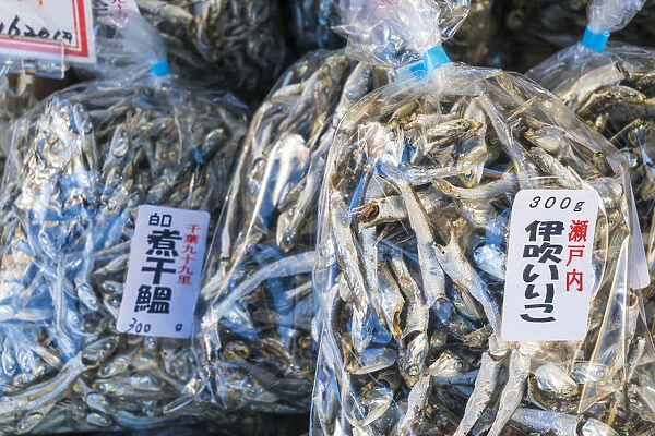 Dried fish, Tsukiji Central Fish Market, Tokyo, Japan