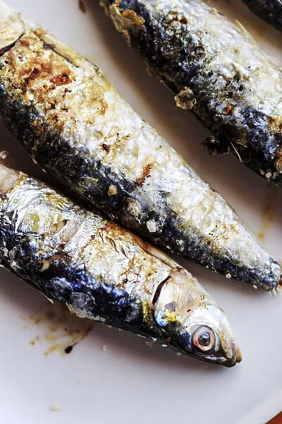 Europe, Iberia, Portugal, The Alentejo, sardines on a plate in Portugal