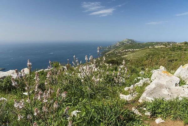 Europe, Italy, Campania. The view from the footpath of the Syrenuse over the Coast