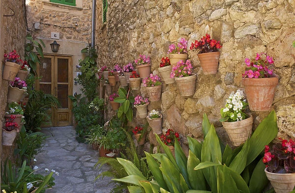 Floral Decoration on Facades, Valldemossa, Valldemosa, Majorca, Balearics, Spain