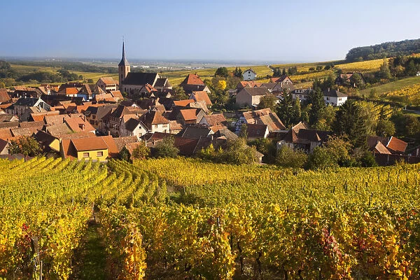 France, Bas-Rhin, Alsace Region, Alasatian Wine Route, Blienschwiller, town overview