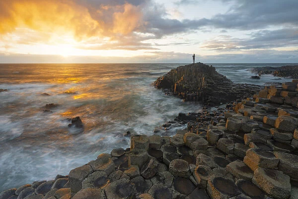 Giants Causeway, Bregagh road, country Antrim, Ulster Province, Northen Ireland, UK