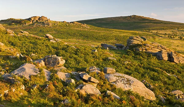 Gorgeous low evening sunshine lights up the rocky moorland leading to Saddle Tor