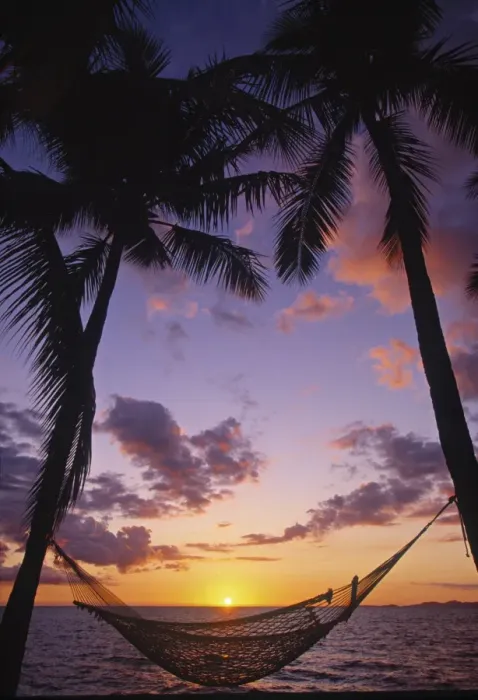 Framed Print : Hammock on Beach Print Framed Print : Hammock on Beach Print