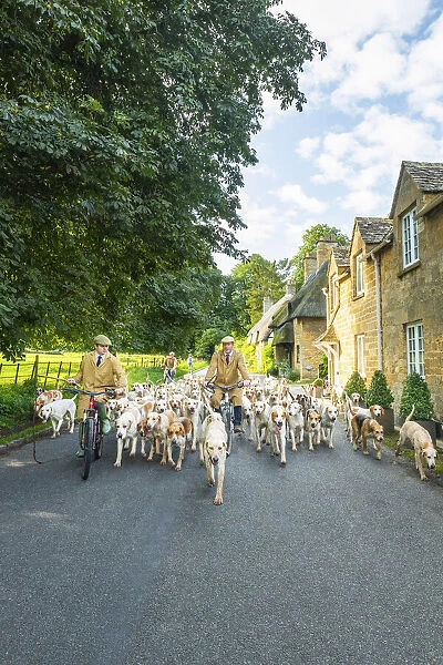 Hounds, Broadway, the Cotswolds, England, UK