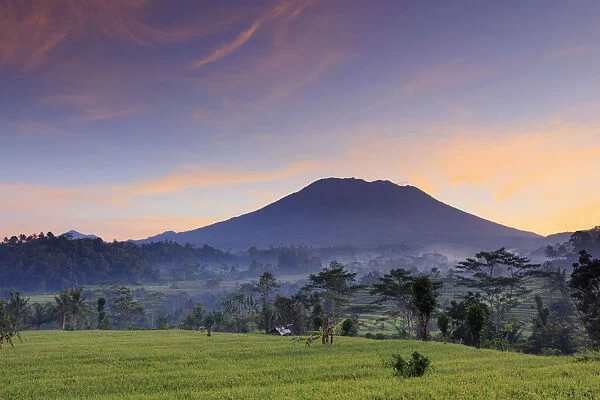 Indonesia, Bali, Sidemen Valley, Iseh, Rice Fields and Gunung Agung Volcano