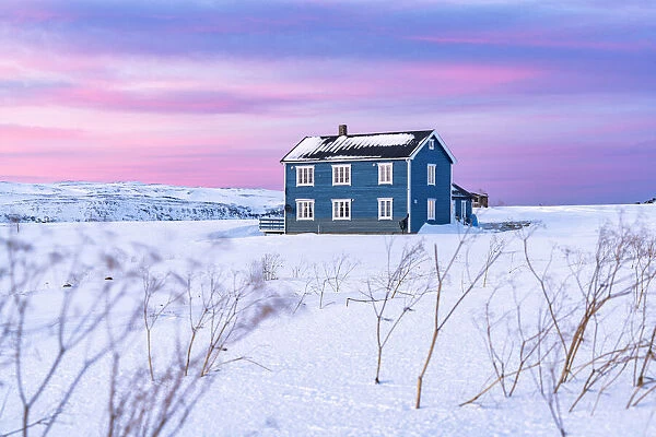 Isolated house in the snow under the pink arctic sunset, Veines, Kongsfjord