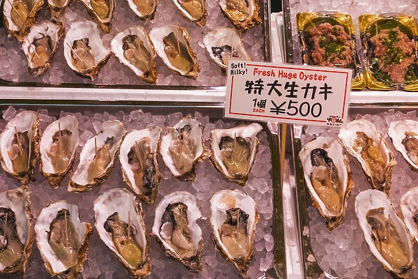 Japan, Honshu, Tokyo, Tsukiji, Tsukiji Outer Market, Seafood Shop Display of Oysters