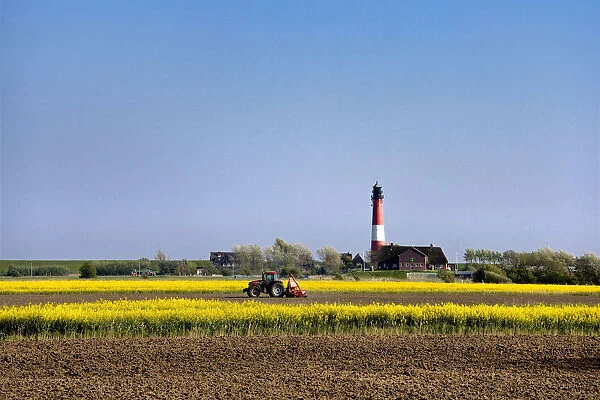 Lighthouse Pellworm Island, Northern Frisia, Schleswig Holstein, Germany