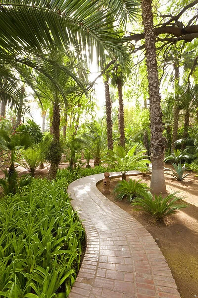 Majorelle Gardens, Marrakesh, Morocco, North Africa
