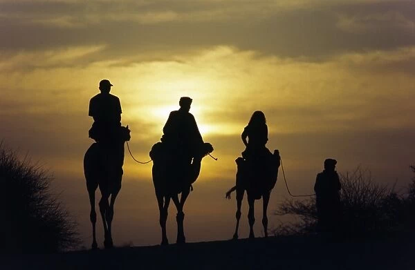 MALI, Timbuktu Camel trekkers in the Saharan sands near Timbuktu