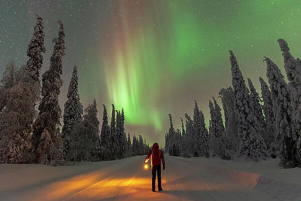 Man with lantern standing in the middle of an icy road looking at Northern Lights (Aurora Borealis), Pallas-yllastunturi national park, Lapland, Finland (MR)