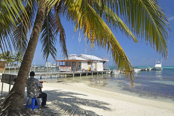 Man sat under a palm on the beach at San Pedro, Ambergris Caye, Caribbean, Central