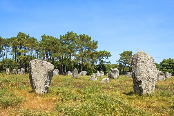 Menhirs of Carnac, Departement Morbihan, Brittany, France