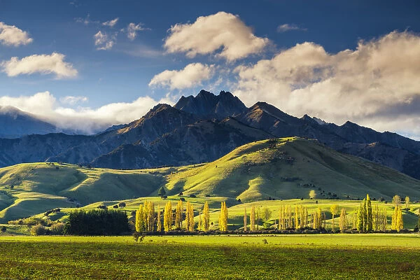 Mt. Burke, near Wanaka, New Zealand