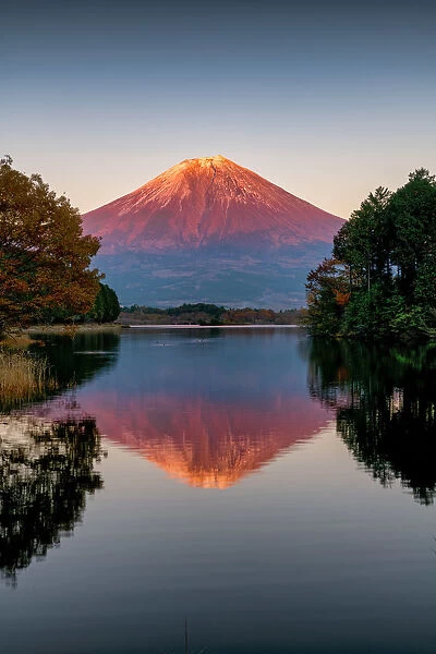 Mt. Fuji Reflecting in Lake Tanuki, Fujinomiya, Shizouka, Honshu, Japan