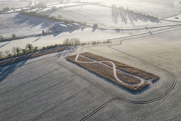 Mysterious crop pattern in a Wiltshire field near West Kennet Long Barrow, Wiltshire, England. Winter (February) 2023